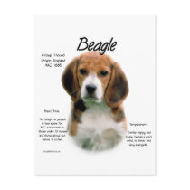Beagle History Design Post Card