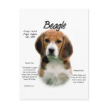 Beagle History Design postcards