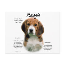 Beagle History Design Postcards