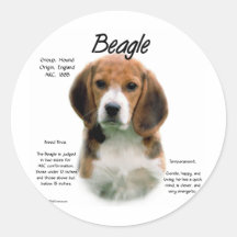Beagle History Design Round Sticker