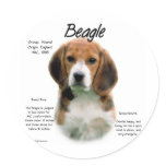 Beagle History Design Round Sticker