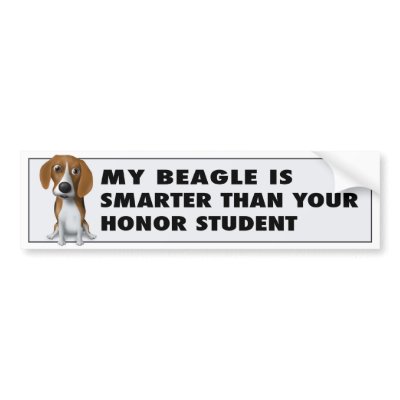 Beagle Honor Bumper Stickers by cartoondogs