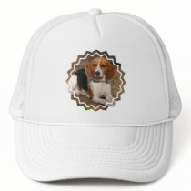 Beagle Hound Baseball Hat