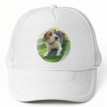 Beagle Hound Dog Baseball Hat
