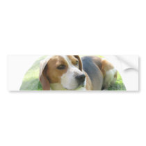 Beagle Hound Dog Bumper Sticker