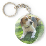 Beagle Hound Dog Keychain