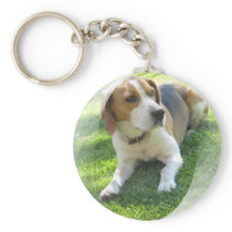 Beagle Hound Dog Keychain