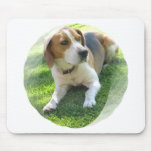 Beagle Hound Dog Mouse Pad