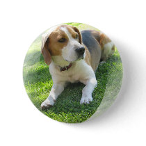 Beagle Hound Dog Round Pin