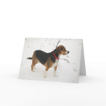 Beagle Hound Hunting In Snow Greeting Card Cooper