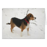 Beagle Hound Hunting In Snow Greeting Card Cooper