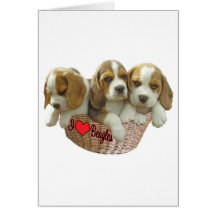 Beagle Hound Pups, I Love Beagles Greeting Card