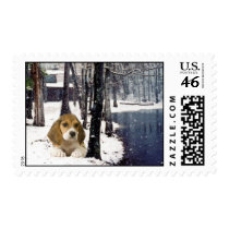 Beagle In Snow Postage postage