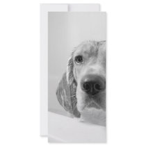 Beagle in the Bathtub Customized Rack Card