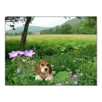 Beagle In The Meadow Poster posters