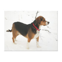 Beagle In The Snow - Wrapped Canvas Cooper Gallery Wrap Canvas