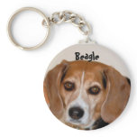 Beagle Keychains