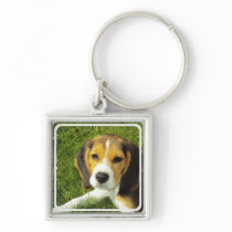 Beagle Keychain