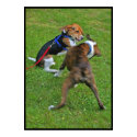 Beagle Knocks Out Competition... posters by beverlytazangel Beagle Knocks Out Competition... posters