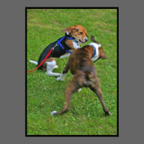 Beagle  Knocks Out Competition... posters