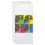 Beagle Light Bright Primary Collage Rack Card