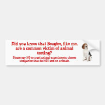 Beagle Like me/animal testing Bumper Stickers
