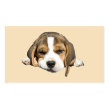 Beagle Lover Business Card