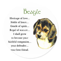 Beagle Lovers Gifts Stickers