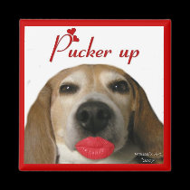 Beagle Magnet magnets