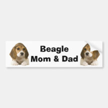 Beagle Mom & Dad Bumper Sticker
