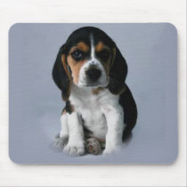 beagle mouse pad