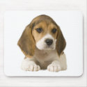 Beagle Mousepad by normagolden Beagle Mousepad