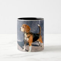 beagle mugs