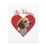 Beagle My Valentine Post Cards