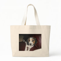 Beagle on a Sunday bags