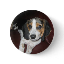 Beagle on a Sunday buttons