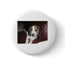 Beagle on a Sunday Pin