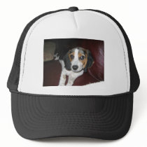 Beagle on a Sunday Trucker Hats