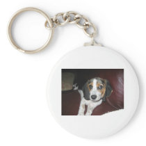 Beagle on a Sunday Key Chains