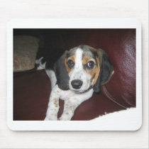 Beagle on a Sunday Mouse Pads