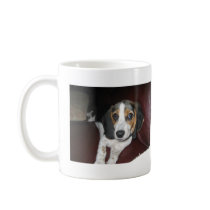 Beagle on a Sunday Coffee Mugs