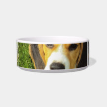 Beagle Pet Bowl Cat Bowl