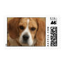 Beagle Picture Postage Stamp
