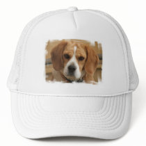 Beagle Pictures Baseball Hat