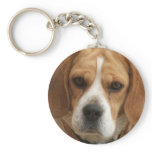 Beagle Pictures Keychain
