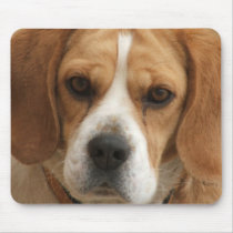 Beagle Pictures Mouse Pad