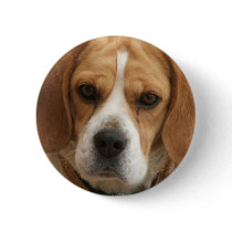 Beagle Pictures Round Button