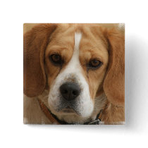 Beagle Pictures Square Pin