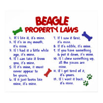BEAGLE PL2 posters by poochloverstuff BEAGLE PL2 posters