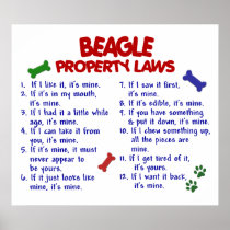 BEAGLE PL2 POSTERS